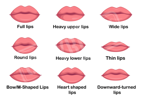 Fundamental Lip Filler Injection Techniques Digital Download