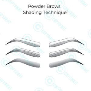 Powder Brows/Shading Technique |Digital Download |Training Manual