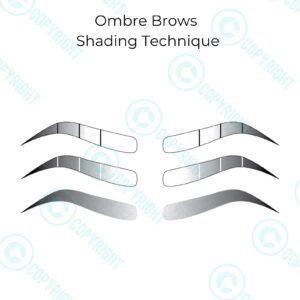 Ombre Brows |Shading Technique |Digital Download