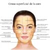 Paquete de anatomía facial Descarga digital