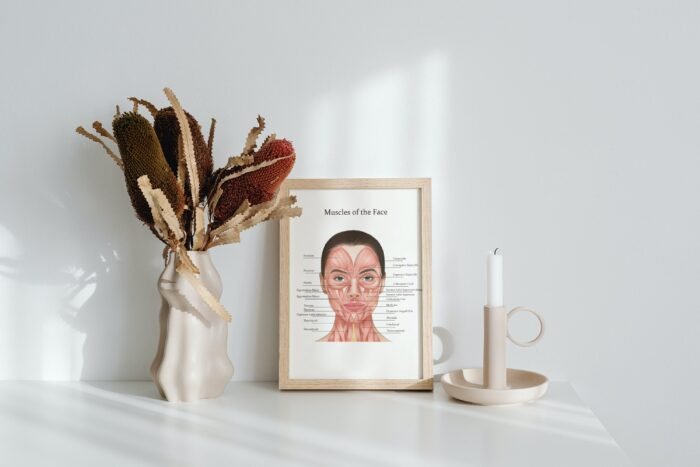 Muscles of the Face and Neck | Anti-wrinkle & Filler Injector | Anatomy | Poster | Aesthetics | Dermatology | Medspa| Digital Download - Image 2