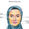 Facial Anatomy Zahra Muslim Hijab Digital Download