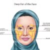 Facial Anatomy Zahra Muslim Hijab Digital Download