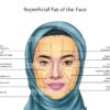 Facial Anatomy Zahra Muslim Hijab Digital Download