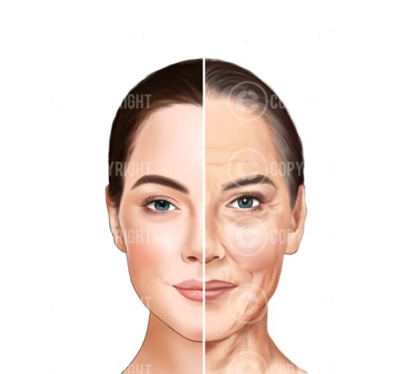 Bundle | Ageing of the Face and Neck Giorgia Digital Download