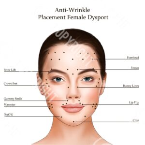 Giorgia Anti-wrinkle/DYSPRT Injection Points Digital Download